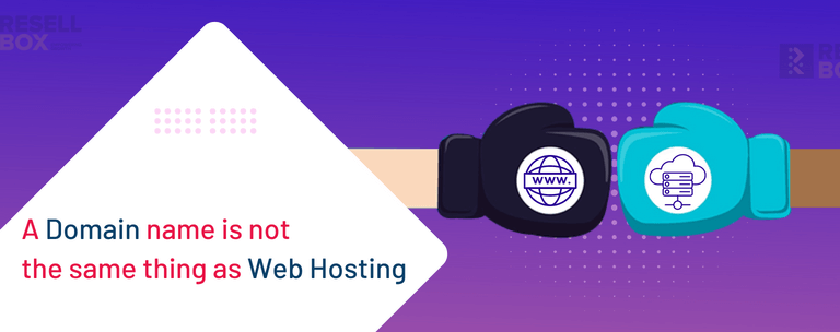 Domain vs Web Hosting