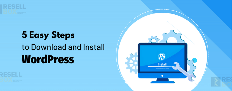 Install WordPress