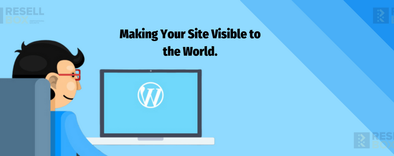 Making Your Site Visible to the World.