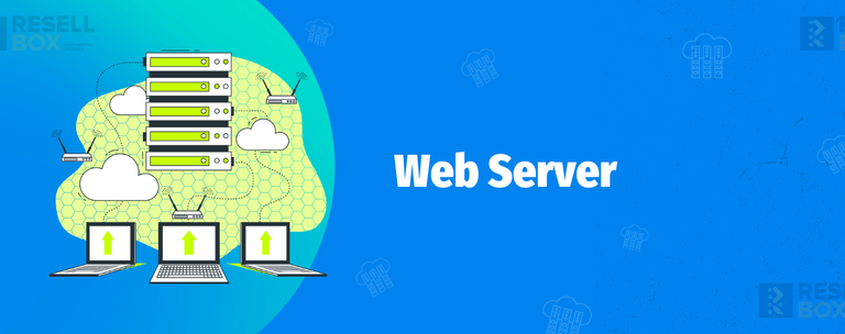 Web Server