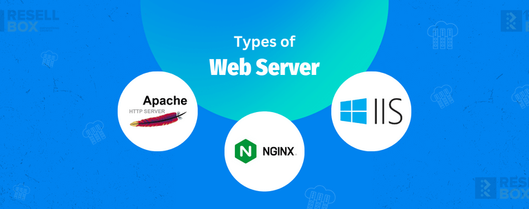 Types of Web Server