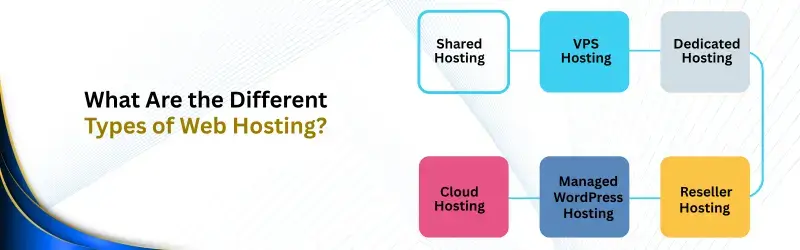 What Are the Different Types of Web Hosting? Web Hosting?